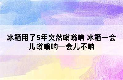 冰箱用了5年突然嗡嗡响 冰箱一会儿嗡嗡响一会儿不响